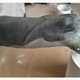 Illustration for article titled emGame Of Thrones/em Gag-Inducing Prosthetics Are Amazing